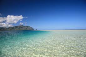 憧れのハワイ「天国の海」散骨プラン